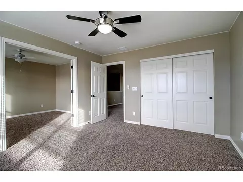626 Camberly Ct, Windsor, CO 80550 photo 24
