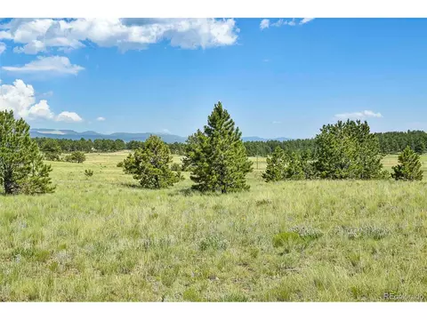 101 View Ln, Guffey, CO 80820 photo 6
