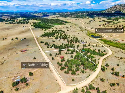 63 Buffalo Ridge Rd, Como, CO 80432 photo 4