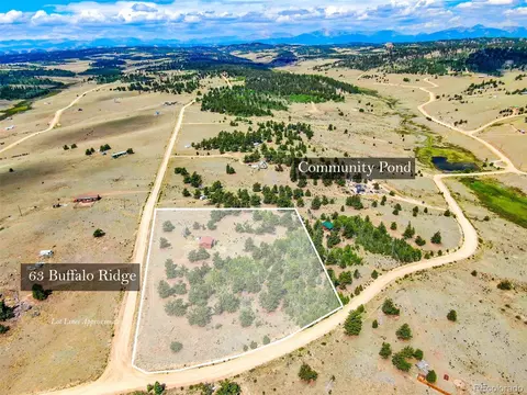 63 Buffalo Ridge Rd, Como, CO 80432 photo 3