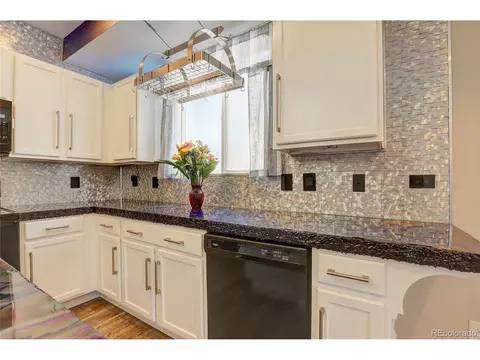 16076 Elk Dr, Denver, CO 80239 photo 16