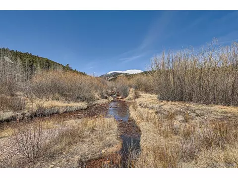 44 Forest Ridge Cir, Bailey, CO 80421 photo 3