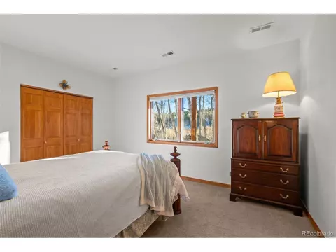 44 Forest Ridge Cir, Bailey, CO 80421 photo 24