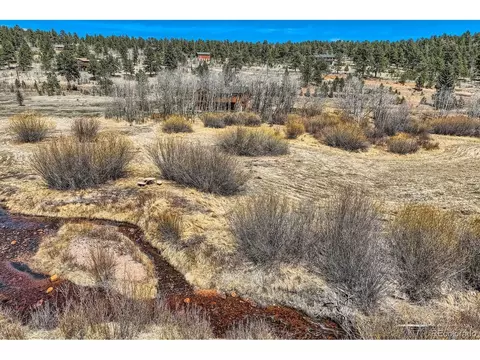 44 Forest Ridge Cir, Bailey, CO 80421 photo 2