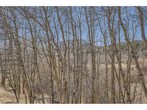 44 Forest Ridge Cir, Bailey, CO 80421 photo 39