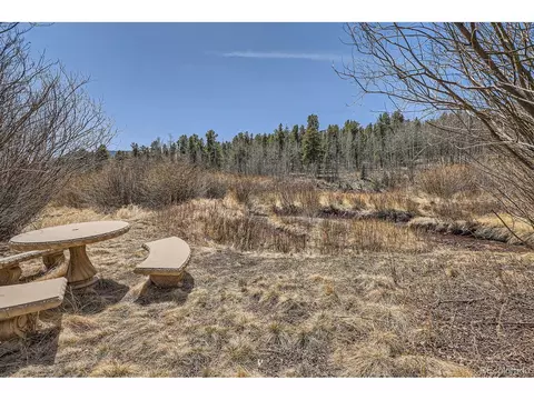 44 Forest Ridge Cir, Bailey, CO 80421 photo 38