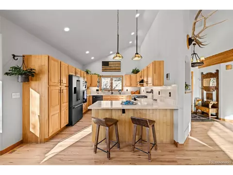 44 Forest Ridge Cir, Bailey, CO 80421 photo 11
