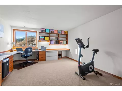 44 Forest Ridge Cir, Bailey, CO 80421 photo 22