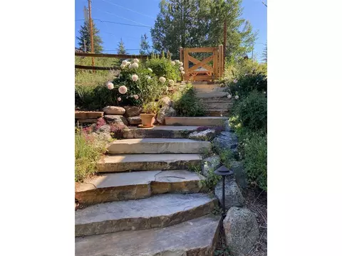 44 Forest Ridge Cir, Bailey, CO 80421 photo 28