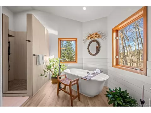 44 Forest Ridge Cir, Bailey, CO 80421 photo 16