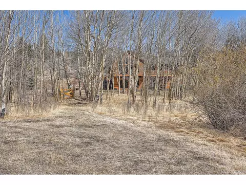 44 Forest Ridge Cir, Bailey, CO 80421 photo 34