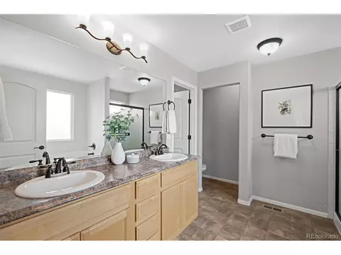 712 Mt Evans Ave, Severance, CO 80550 photo 15