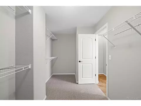 712 Mt Evans Ave, Severance, CO 80550 photo 18
