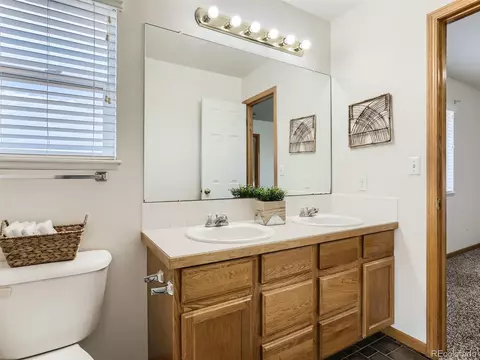 981 Emerald Dr, Windsor, CO 80550 photo 21