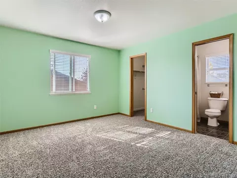 981 Emerald Dr, Windsor, CO 80550 photo 20