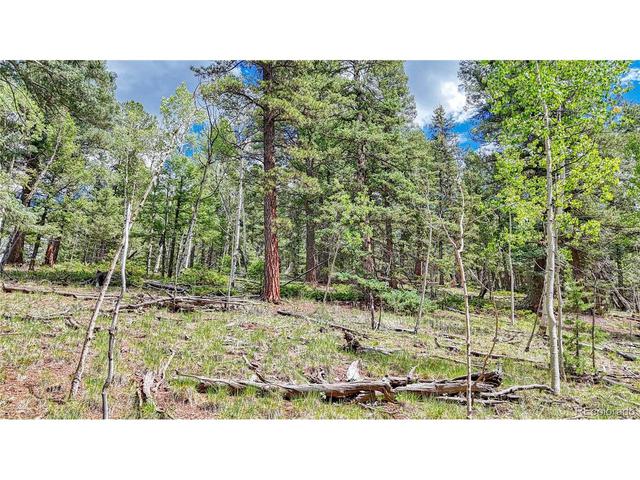 94 E Mariposa Cir, Cripple Creek, CO 80813