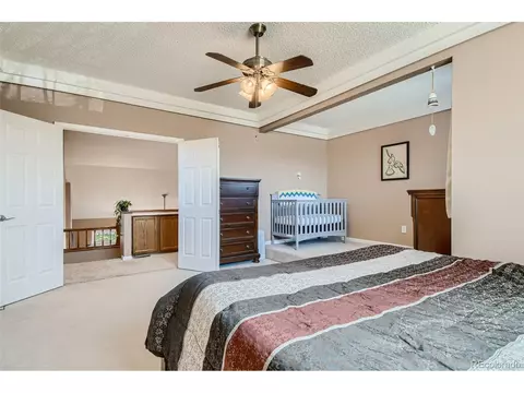 4217 E 130th Dr, Thornton, CO 80241 photo 19
