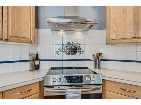 4217 E 130th Dr, Thornton, CO 80241 photo 11