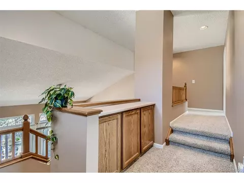 4217 E 130th Dr, Thornton, CO 80241 photo 28