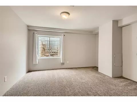 4217 E 130th Dr, Thornton, CO 80241 photo 34