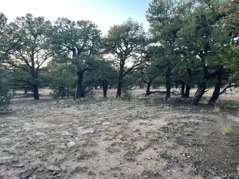 3676 Enchanted Way, Crestone, CO 81131 photo 19