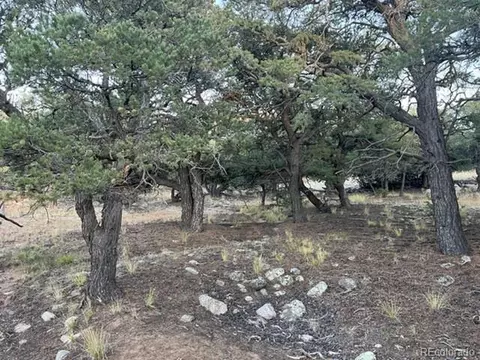 3676 Enchanted Way, Crestone, CO 81131 photo 9
