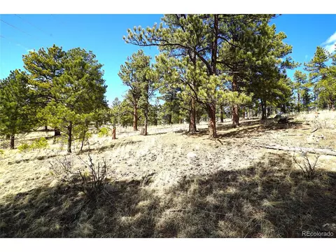 119 Six Bits St, Bailey, CO 80421 photo 3