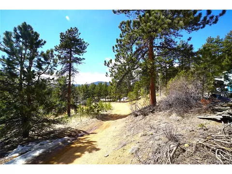 119 Six Bits St, Bailey, CO 80421 photo 2
