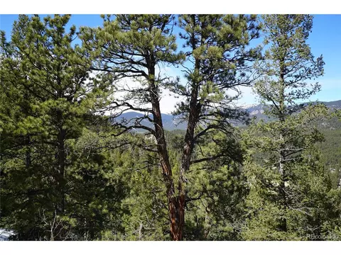 119 Six Bits St, Bailey, CO 80421 photo 1