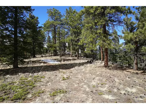 119 Six Bits St, Bailey, CO 80421 photo 5