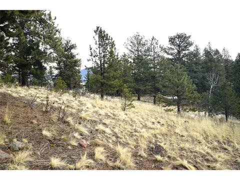 119 Six Bits St, Bailey, CO 80421 photo 4