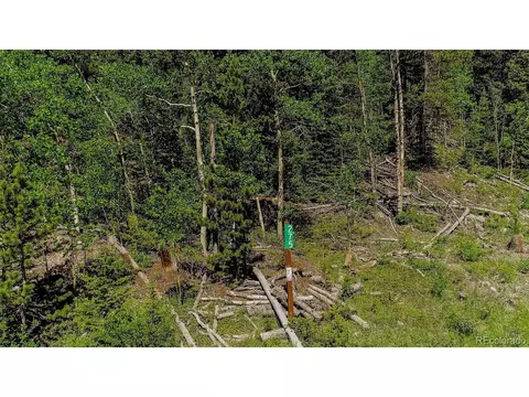 275 Mine Dump Rd, Fairplay, CO 80440