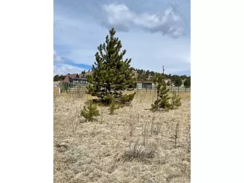57 Fish Crk, Florissant, CO 80816