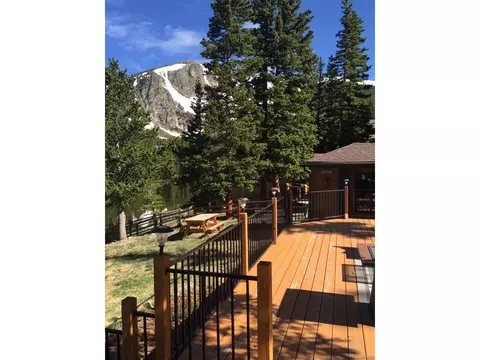 833 Brook Dr, Idaho Springs, CO 80452