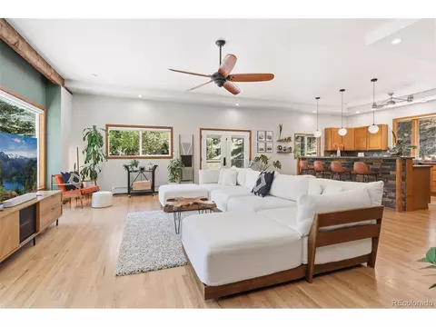 Living - 384 Brookside Dr, Bailey, CO 80421 photo 3 of 4