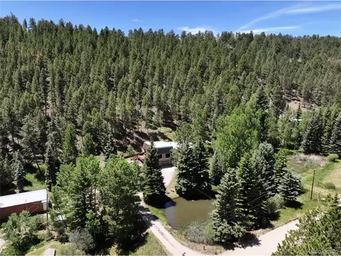 View/Area - 384 Brookside Dr, Bailey, CO 80421 photo 2 of 4