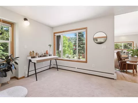 Other - 384 Brookside Dr, Bailey, CO 80421 photo 5 of 19