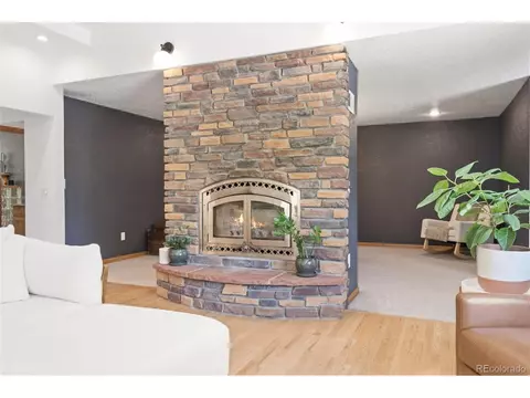 Other - 384 Brookside Dr, Bailey, CO 80421 photo 2 of 19