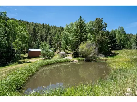 Other - 384 Brookside Dr, Bailey, CO 80421 photo 15 of 19