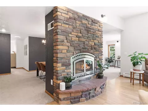 Other - 384 Brookside Dr, Bailey, CO 80421 photo 4 of 19