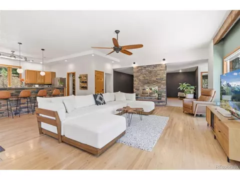 Living - 384 Brookside Dr, Bailey, CO 80421 photo 4 of 4