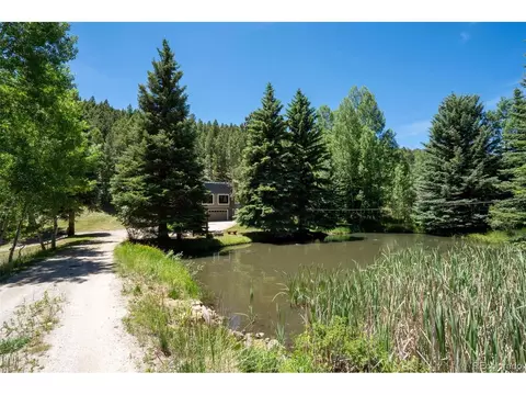 Other - 384 Brookside Dr, Bailey, CO 80421 photo 1 of 19
