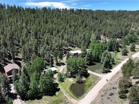 View/Area - 384 Brookside Dr, Bailey, CO 80421 photo 4 of 4