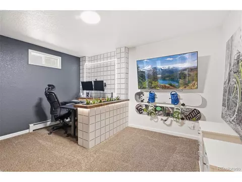 Other - 384 Brookside Dr, Bailey, CO 80421 photo 6 of 19
