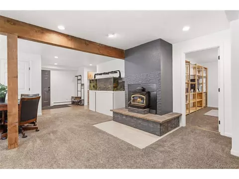 Other - 384 Brookside Dr, Bailey, CO 80421 photo 9 of 19