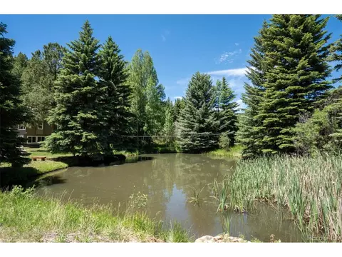 Other - 384 Brookside Dr, Bailey, CO 80421 photo 16 of 19