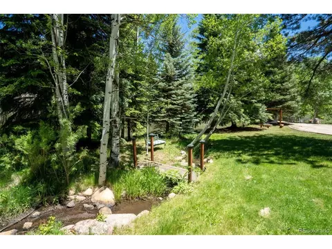 Exterior - 384 Brookside Dr, Bailey, CO 80421 photo 3 of 6