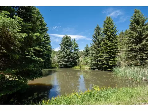 View/Area - 384 Brookside Dr, Bailey, CO 80421 photo 1 of 4