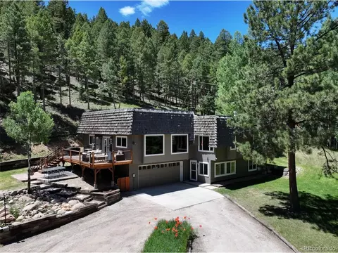 Exterior - 384 Brookside Dr, Bailey, CO 80421 photo 6 of 6