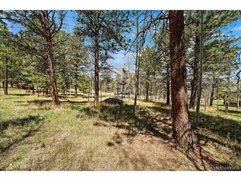 Burland Dr, Bailey, CO 80421 photo 2